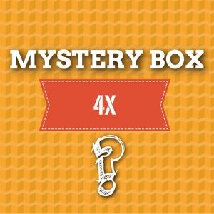 Size 4x mystery box!